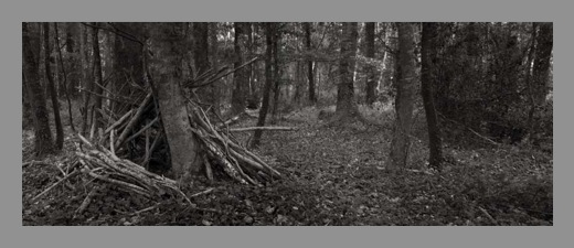 Woodland_Sticks_Panorama