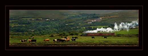 Sentimental Journey