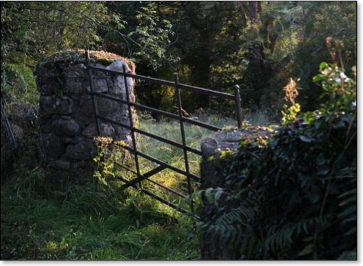 Gate at sundown_4088