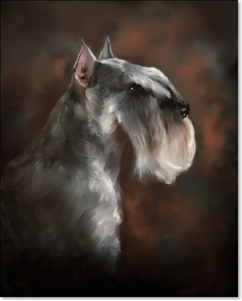 Schnauzer_Final_8x10